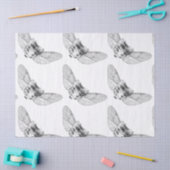 Apothecary Tissuepapier (Craft)