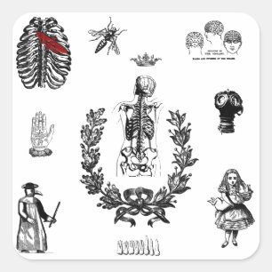 Apothecary Vierkante Sticker