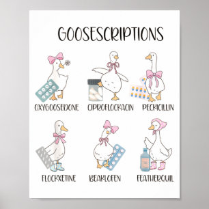 Apotheek Grappige Gans Grappige Recepten Woordspel Poster