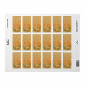 Apotheeklabel van medium perzikkleurige Roos Etiket (Full Sheet)