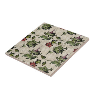 Apotheker heks Plant   Steampunk Botanische Kruide Tegeltje