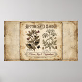 Apothekers Tuin Giftige Nachtschade Poster (Voorkant)