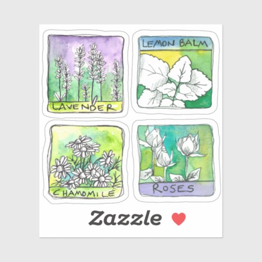 Apothekerskruiden Thee Potlabels Kamille Roos Sticker (Vel)