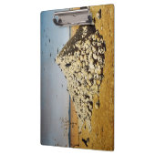 Apotheose of War (Death and Destruction) (Skulls) Klembord (Links)