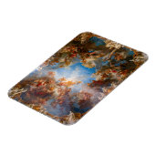 Apotheose van Hercules in Chateau de Versailles Magneet (Linkerzijde)