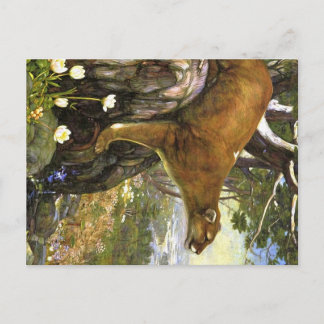 Appalachian Animals Briefkaart