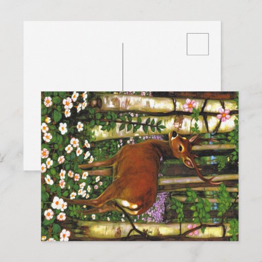 Appalachian Animals Briefkaart (Voorkant / Achterkant)