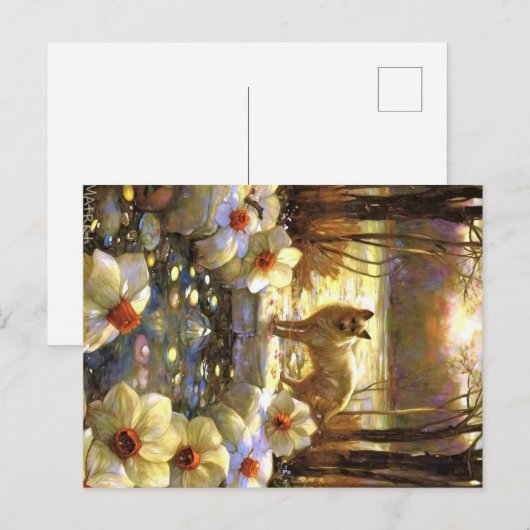 Appalachian Animals Briefkaart (Voorkant / Achterkant)