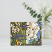 Appalachian Animals  Briefkaart (Staand voorkant)