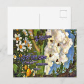 Appalachian Animals  Briefkaart (Voorkant / Achterkant)