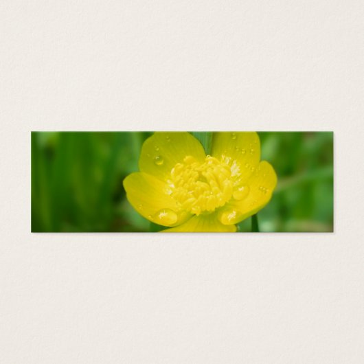 Appalachian Buttercup Bladwijzer Mini Visitekaartjes (Voorkant)
