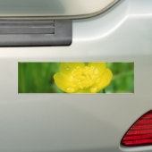 Appalachian Buttercup Bumpersticker (Op auto)
