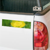 Appalachian Buttercup Bumpersticker (Op Truck)