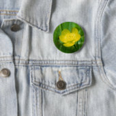 Appalachian Buttercup Button (In situ)