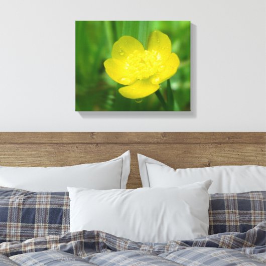 Appalachian Buttercup Canvas Afdrukken (Insitu (Slaapkamer))