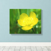 Appalachian Buttercup Canvas Afdrukken (Insitu (Houten vloer))