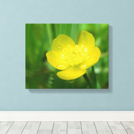 Appalachian Buttercup Canvas Afdrukken (Insitu (Houten vloer))