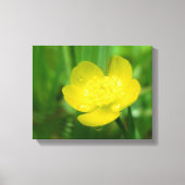 Appalachian Buttercup Canvas Afdrukken (Voorkant)
