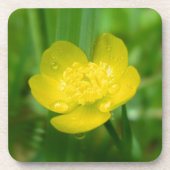 Appalachian Buttercup Cork Onderzetter (Voorkant)
