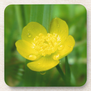 Appalachian Buttercup Cork Onderzetter