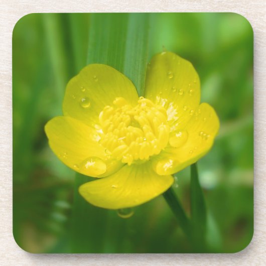 Appalachian Buttercup Cork Onderzetter (Voorkant)