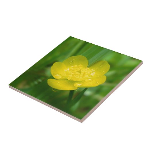 Appalachian Buttercup Decoratief Tile Tegeltje (Zijkant)