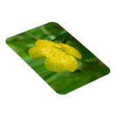 Appalachian Buttercup Flexible Magnet Magneet (Rechterzijde)
