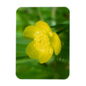 Appalachian Buttercup Flexible Magnet Magneet (Verticaal)