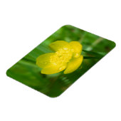 Appalachian Buttercup Flexible Magnet Magneet (Linkerzijde)