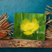 Appalachian Buttercup Foto Plaque Fotoplaat (Zijkant)