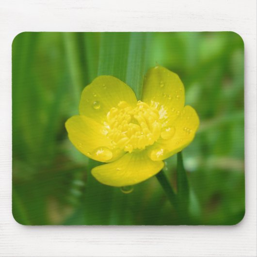 Appalachian Buttercup Mousepad Muismat (Voorkant)