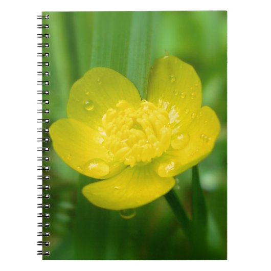 Appalachian Buttercup Notitieboek (Voorkant)