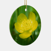 Appalachian Buttercup Ornament (Rechts)