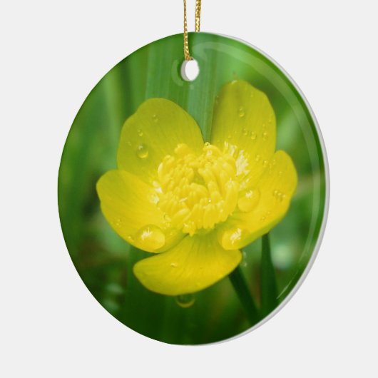 Appalachian Buttercup Ornament (Links)