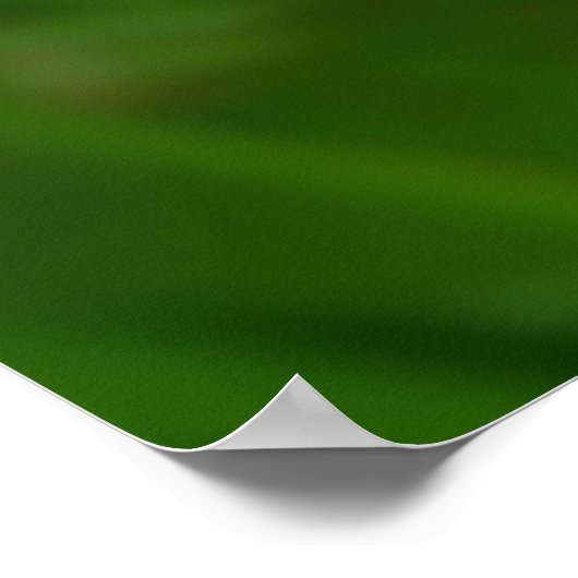 Appalachian Buttercup Print (Hoek)