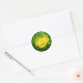 Appalachian Buttercup Stickers (Envelop)