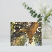 Appalachian Dieren Briefkaart (Staand voorkant)