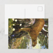Appalachian Dieren Briefkaart (Voorkant / Achterkant)