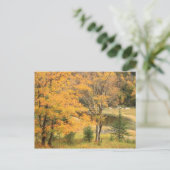 Appalachian Gap Pond Vermont Briefkaart (Staand voorkant)