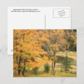 Appalachian Gap Pond Vermont Briefkaart (Voorkant / Achterkant)