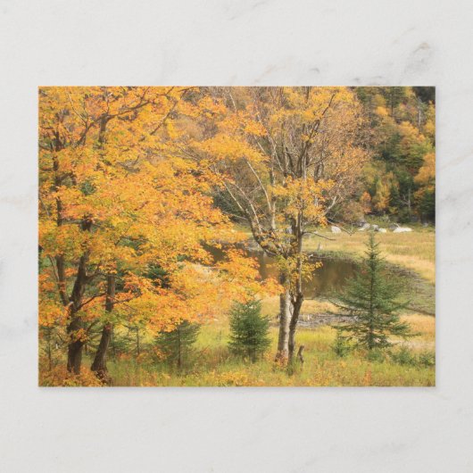 Appalachian Gap Pond Vermont Briefkaart (Voorkant)