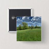 Appalachian Green Button (Voorkant /achterkant)