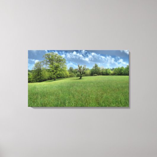 Appalachian Green Canvas Print (Voorkant)