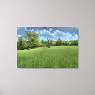 Appalachian Green Canvasprint Canvas Afdruk