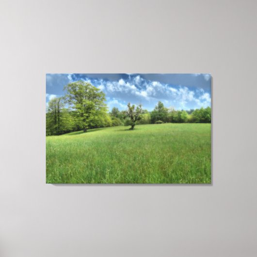 Appalachian Green Canvasprint Canvas Afdruk (Voorkant)