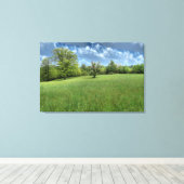 Appalachian Green Canvasprint Canvas Afdruk (Insitu (Houten vloer))