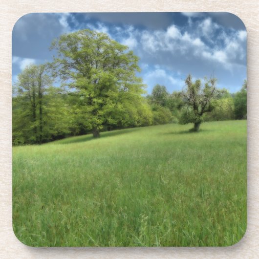 Appalachian Green Cork Onderzetter (Voorkant)