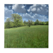 Appalachian Green Decorative Tile Tegeltje (Voorkant)