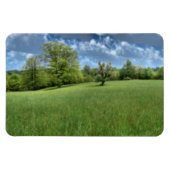 Appalachian Green Flexible Magnet Magneet (Horizontaal)