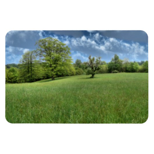 Appalachian Green Flexible Magnet Magneet (Horizontaal)